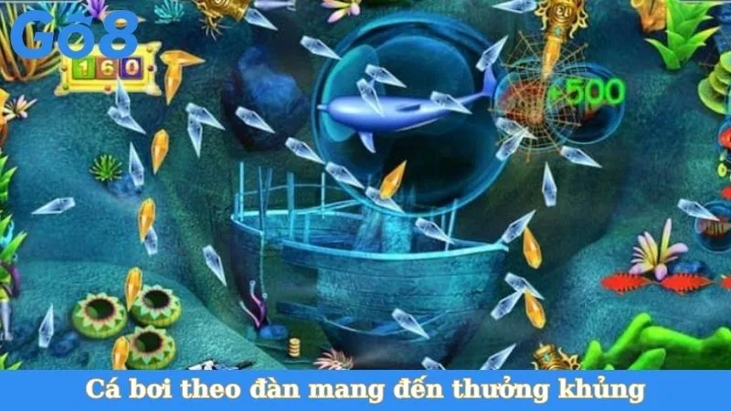 Cá bơi theo đàn mang đến thưởng khủng