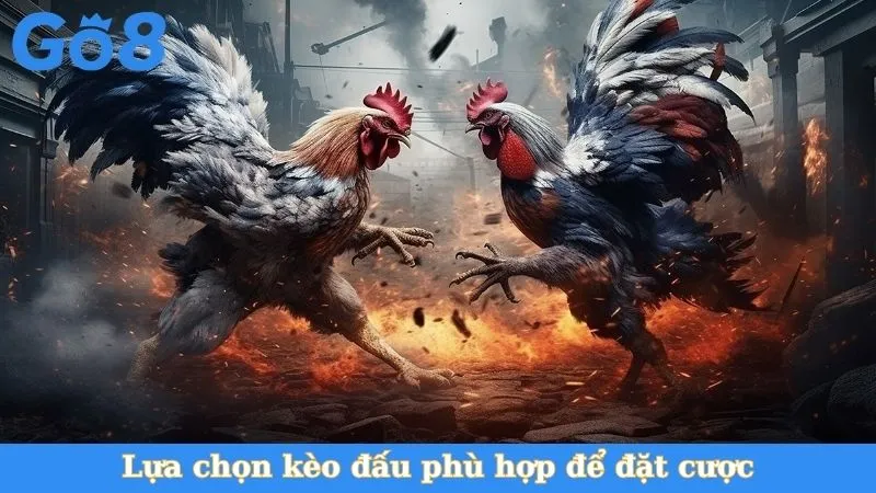 Lựa chọn kèo đấu phù hợp để đặt cược